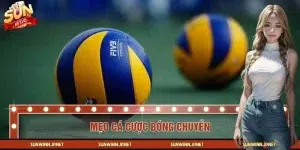 Mẹo Cá Cược Bóng Chuyền – Chiến Thuật Thực Chiến Dễ Áp Dụng